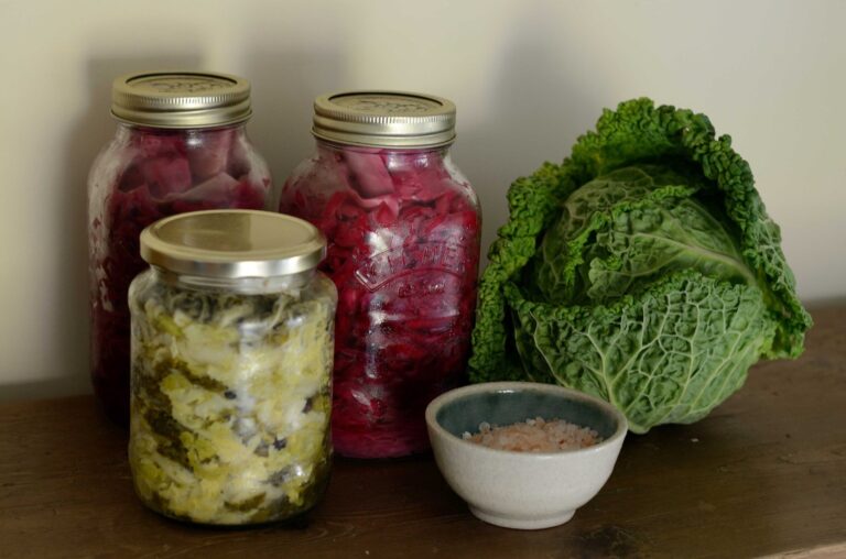 Cabbage packed and sealed into jars