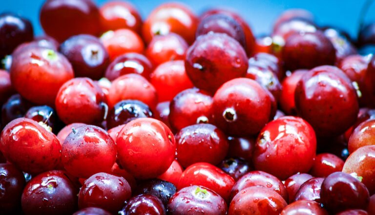 close up image of cranberries