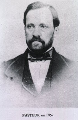 Portrait of Louis Pasteur